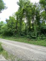 Tbd Norris Road