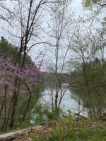 0 Campbell Road