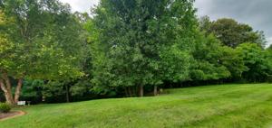 148 & 152 Warrior Falls Drive