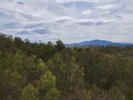 48 & 49 Mountain Loop Road