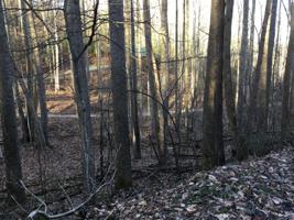 Tbd Banjo Ridge Rd Lot 39