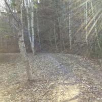 Tbd Banjo Ridge Rd Lot 30