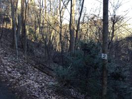 Tbd Banjo Ridge Rd Lot 2