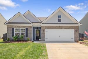 1153 Raccoon Lane