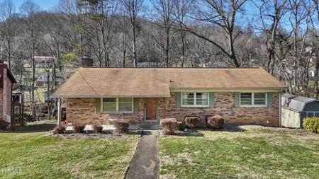 217 Lonewood Drive
