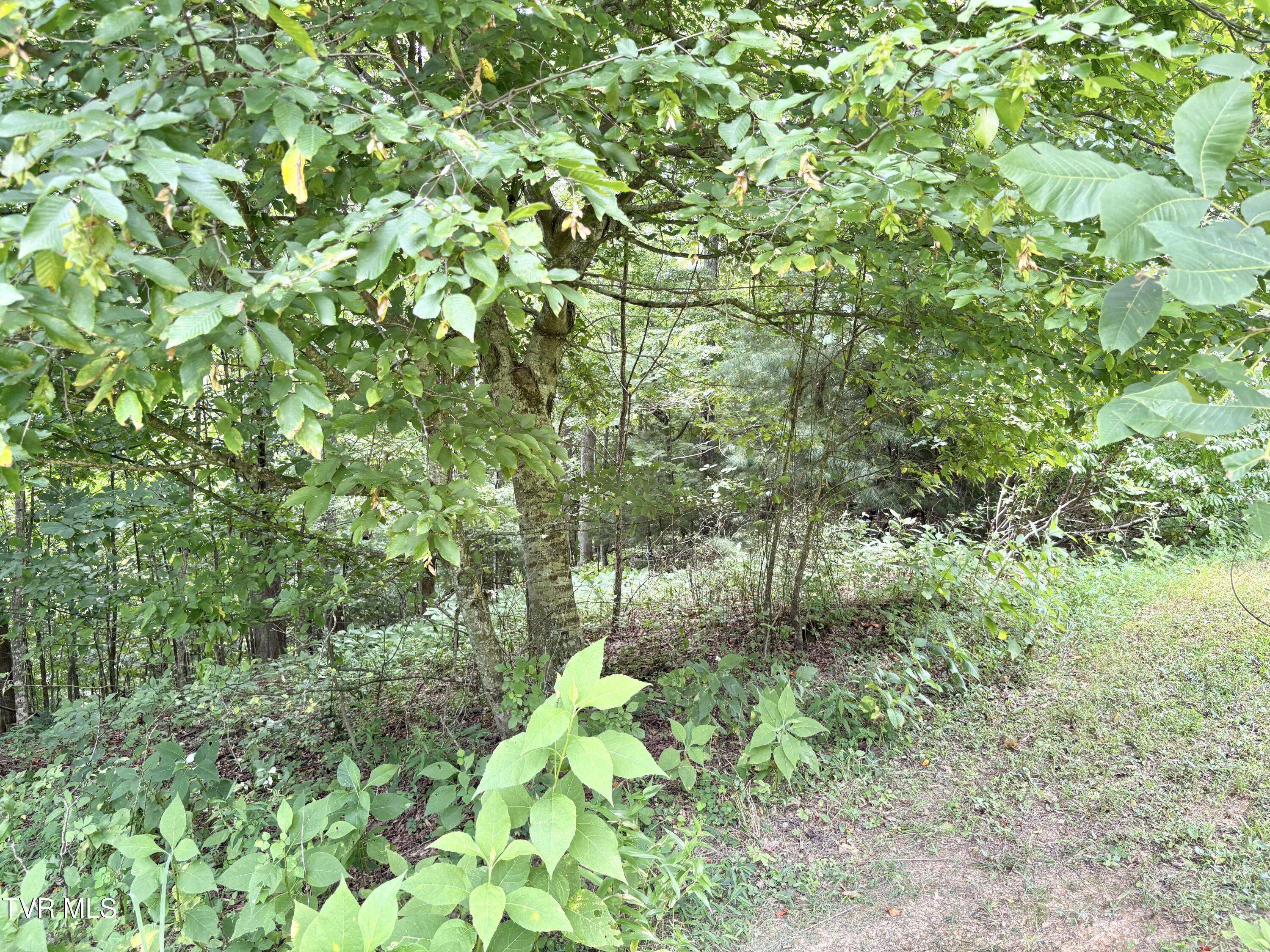 Image 2: IMG_6398
