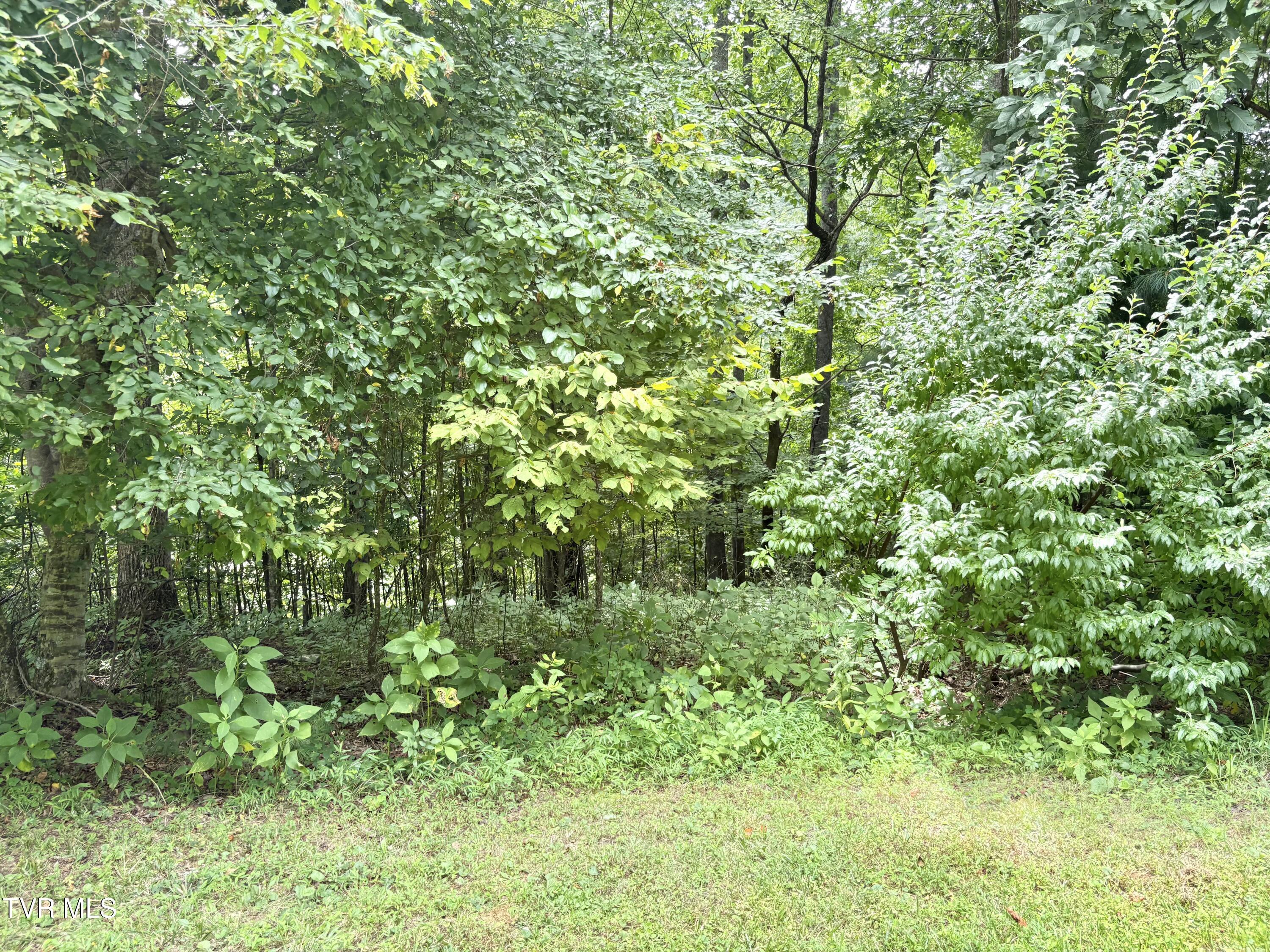 Image 3: IMG_6397