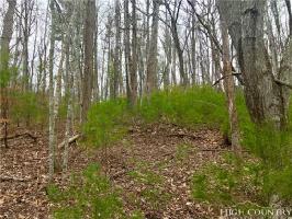 397 Banjo Ridge Rd Lot 25