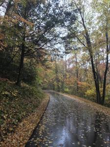 Lot 6 Coves Edge Drive
