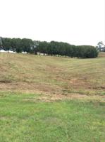 Lot 1 Leedy Shores Lane