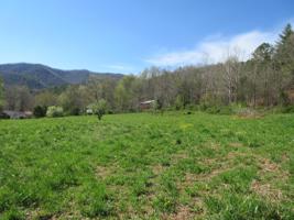 9222 Roan Creek Road