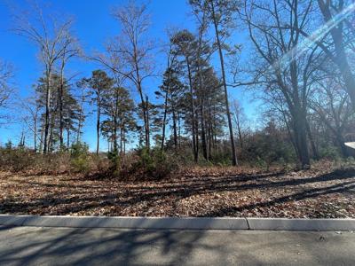 Lot 96 Shiloh