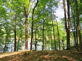 Lot 36 Five Oaks Cir