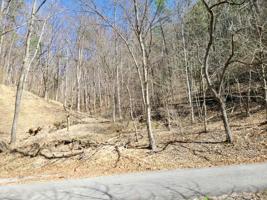 Tbd Cove Ridge Lane