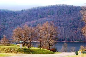 000 Forest Pointe, Lot #19