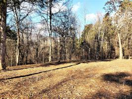 224 Walnut Bend Drive