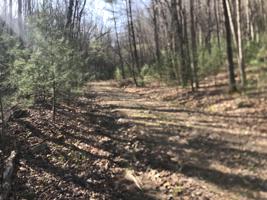 0000 Of Little Dry Run Road