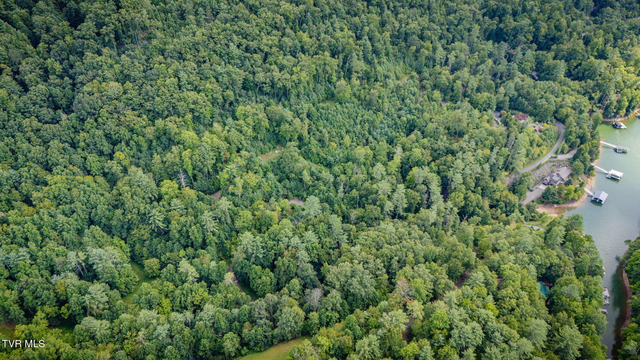 Image 4: I