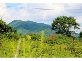 000 Mountain View