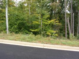 Lot 25 Bridgewater Blvd1 Boulevard