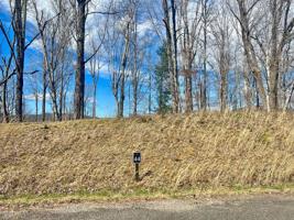 Lot 44 Of Dry Hill Road