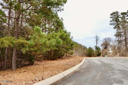 Lot 144 Tumbleweed Trail