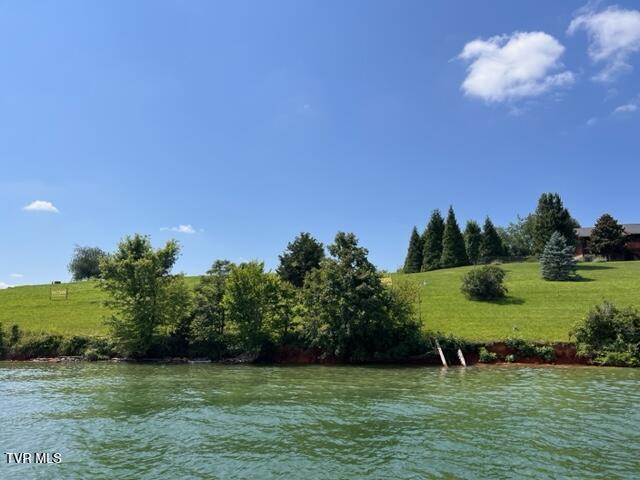 Image 3: Image 03