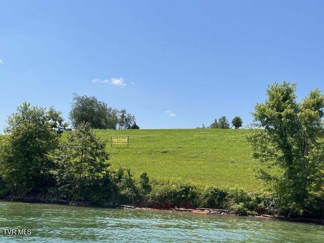 Image 4: Image 04
