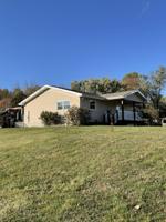 227 Orchard Street