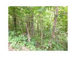 Lot 6 Briarwood Road