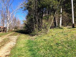 Lot 9 Norris Road