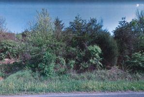 23 Ac. Austin Springs Road South