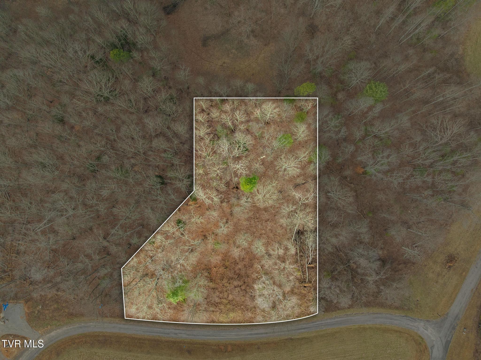 Image 2: Aerial view of plat
