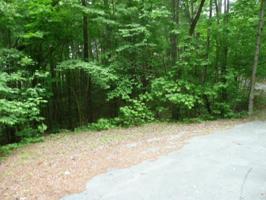 9 Cub Drive