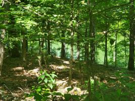 Lot 124 Kahiti Court