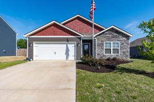 1034 Raccoon Lane