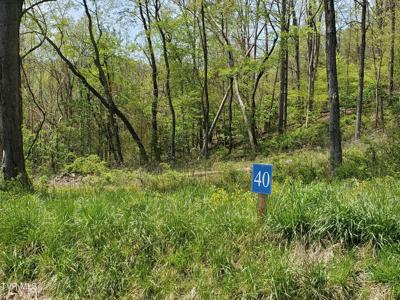 Lot 40 Cowan Town Road
