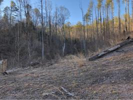TBD Lowell Stalcup Road