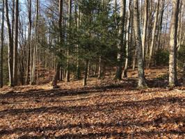 Lot 1 York Cabin Road