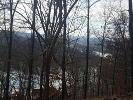 317 Mountain View Drive