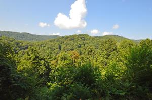 Lot 64 Tulip Poplar Trail