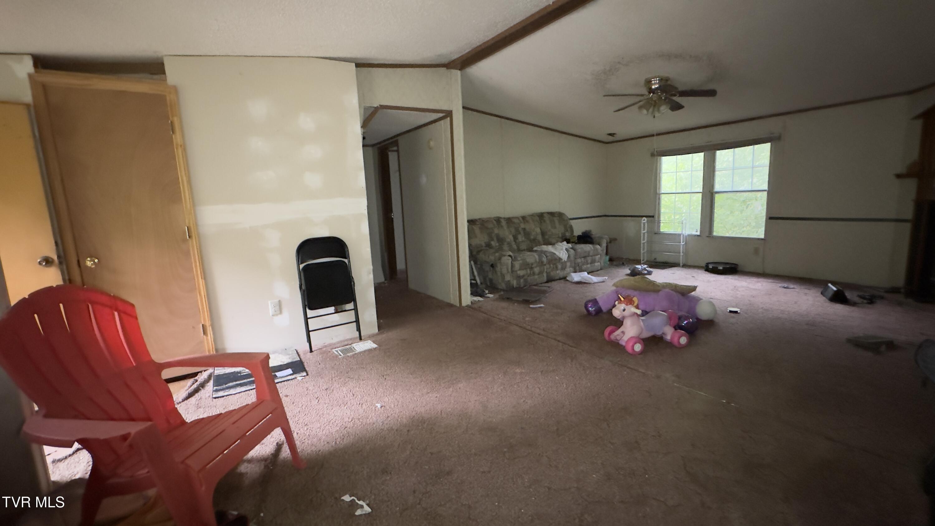 Image 2: IMG_4319