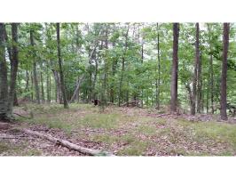9056 Paradise View Drive Lot 81