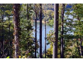 Lot 22 Bluestone Drive