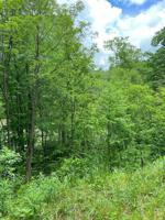 Tbd Mountain Wynd Drive