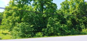 Tbd Proffitt Lane