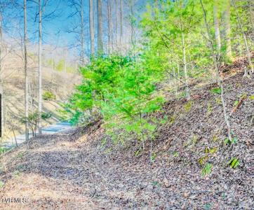 Lot 18 Horseshoe Cove Dr/Mistyhollow Drive