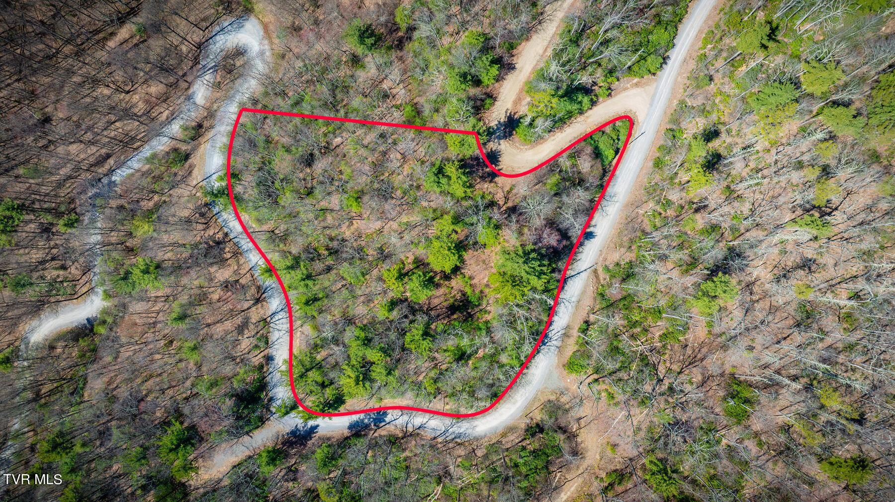 Image 1: Lot54Red