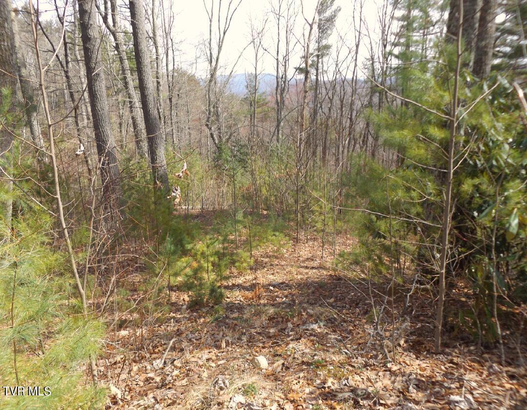 Image 2: Lot54b