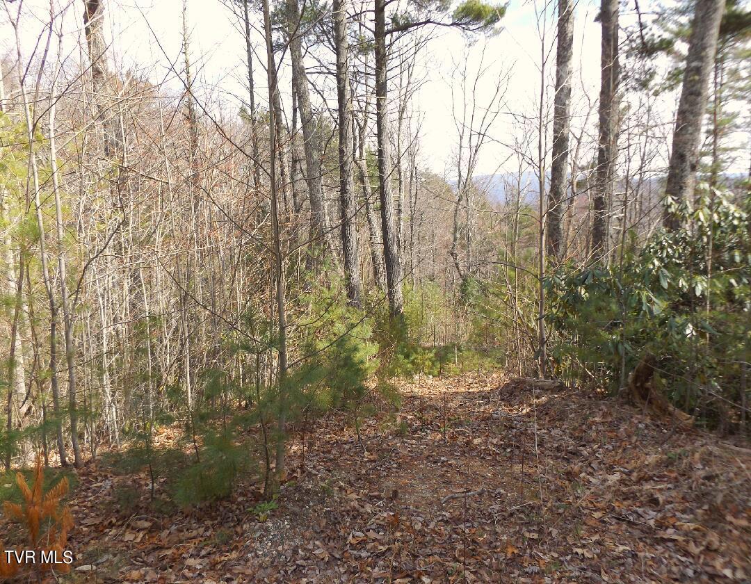 Image 3: Lot54a